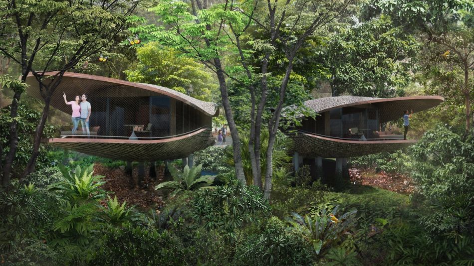 Seed Pod-Shaped Treehouses at New Mandai Eco Resort