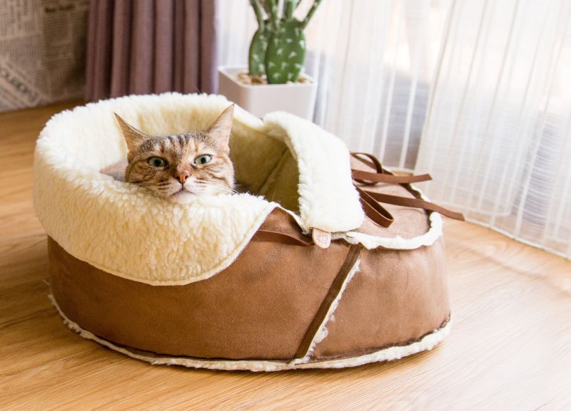 Sherpa Moccasin cat bed