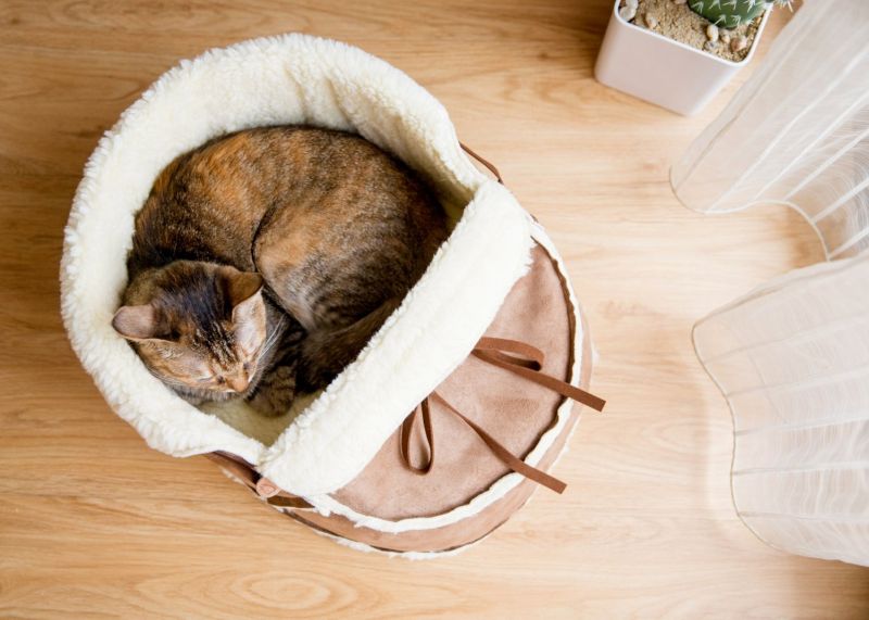 Sherpa Moccasin cat bed