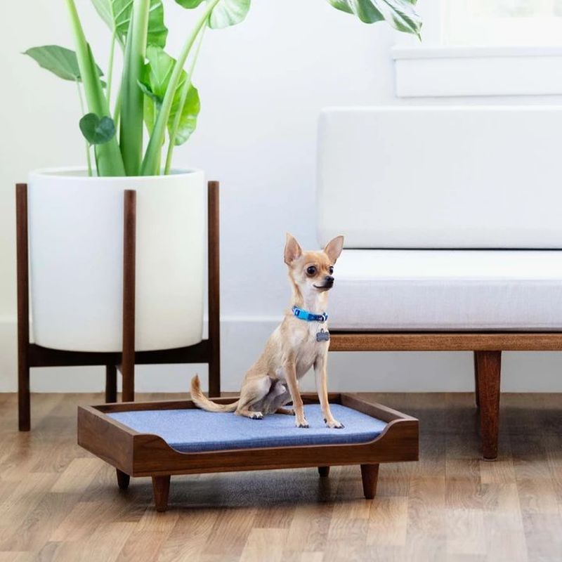 Solid Wood Pet Daybed by Case Study Furniture