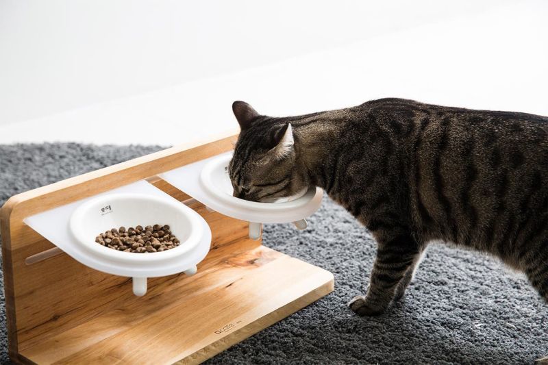 Taberu Cat Dining Station by Tuft & Paw