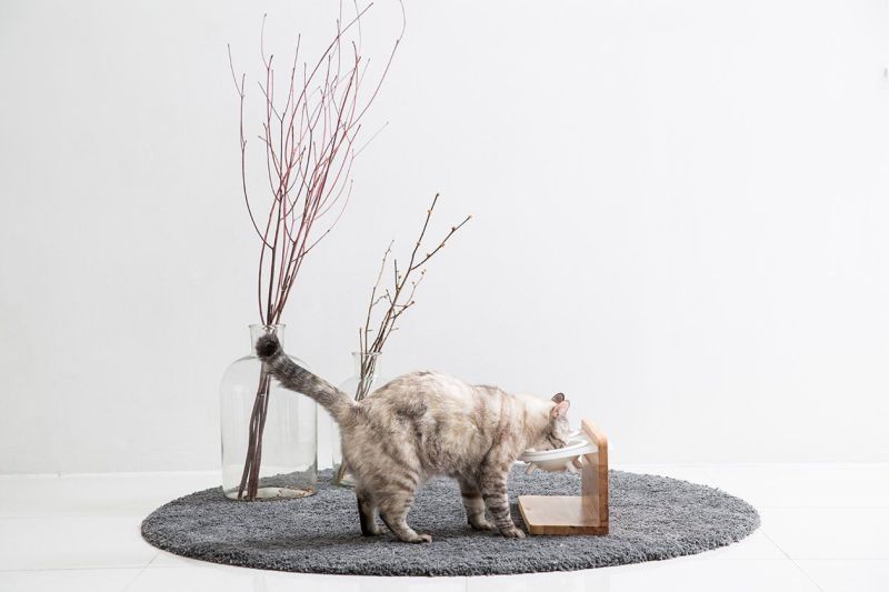 Taberu Cat Dining Station by Tuft & Paw