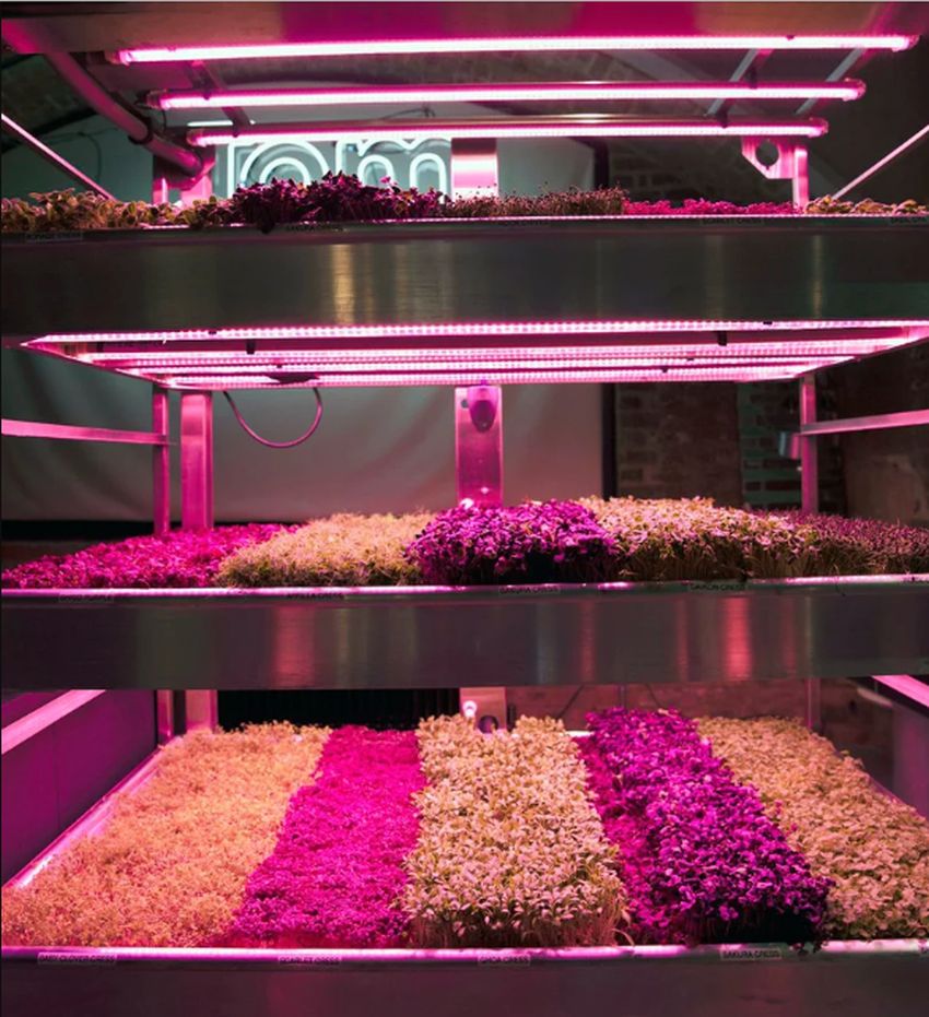 tom-dixon-ikea-urban-farming-solution