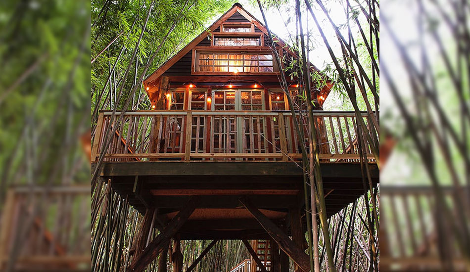 Rent This Amazingly Cool Alpaca Treehouse in Atlanta at Airbnb for $375