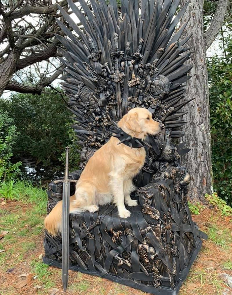 Auckland Man Builds and Sells Life-Size Iron Throne Replicas 