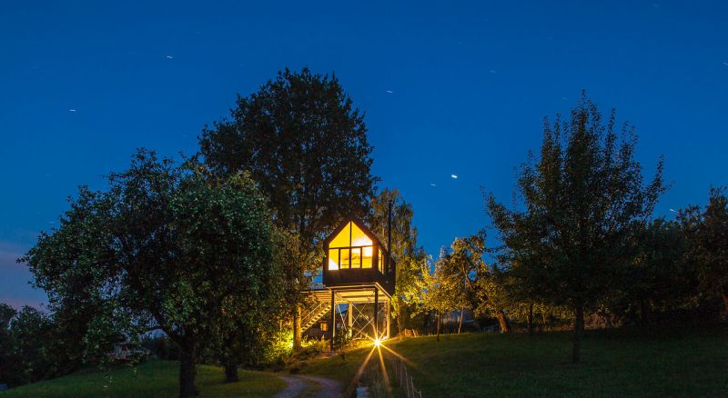 This Prefabricated Treehouse in Switzerland is Dream Home for Two Friends