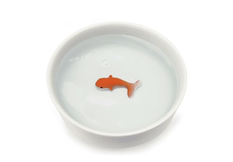 Goldfish Pet Bowl by Suck UK will Fool Your Cats 