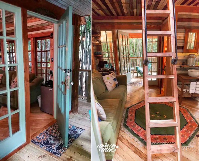 Rent This Amazingly Cool Alpaca Treehouse in Atlanta at Airbnb for $375