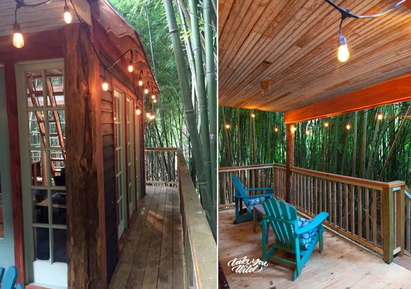 Rent This Amazingly Cool Alpaca Treehouse in Atlanta at Airbnb for $375