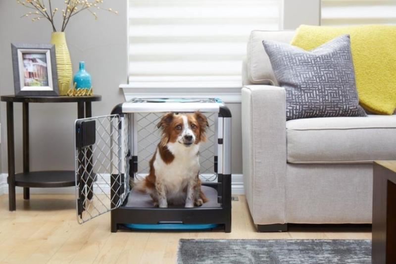 Revol Dog Crate Folds Flat for Easy Storage and Transportation