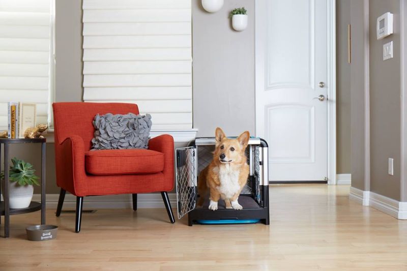 Revol Dog Crate Folds Flat for Easy Storage and Transportation 