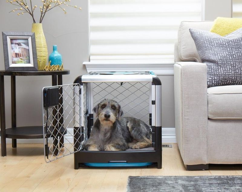Revol Dog Crate Folds Flat for Easy Storage and Transportation 