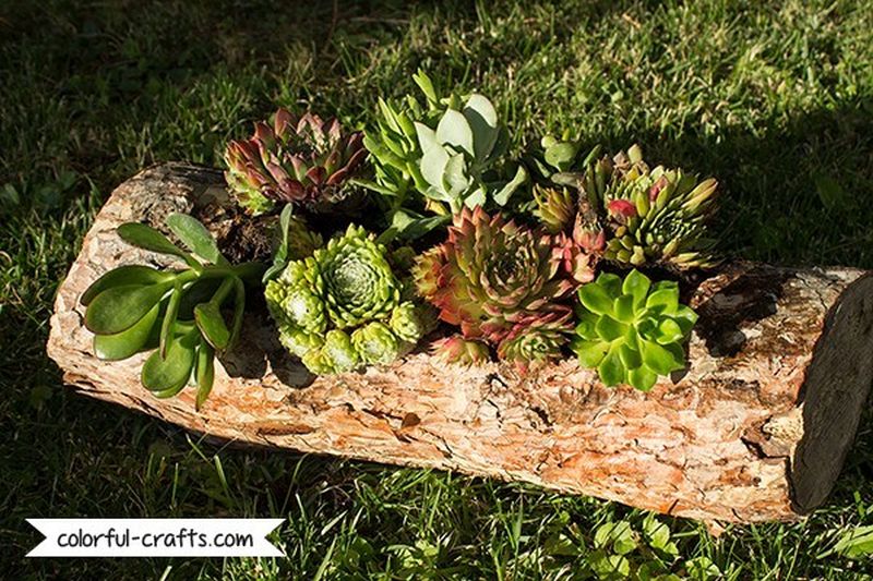 Creative planter ideas for small garden 