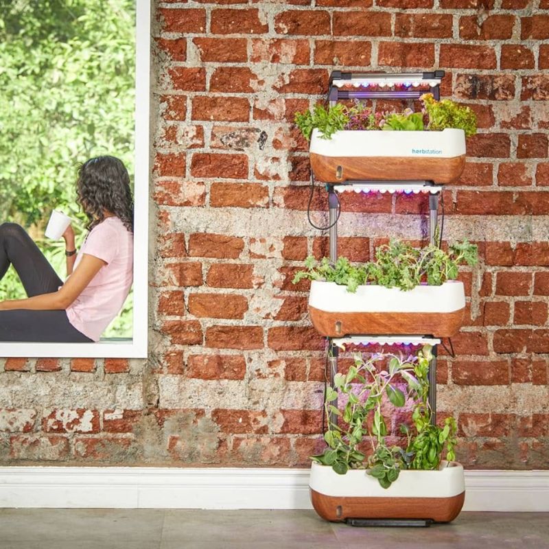 Altifarm Launches Herbstation Self-Watering Indoor Garden at Kickstarter 