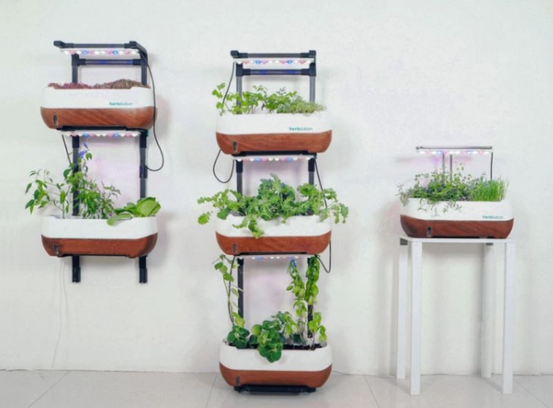 Altifarm Launches Herbstation Self-Watering Indoor Garden at Kickstarter