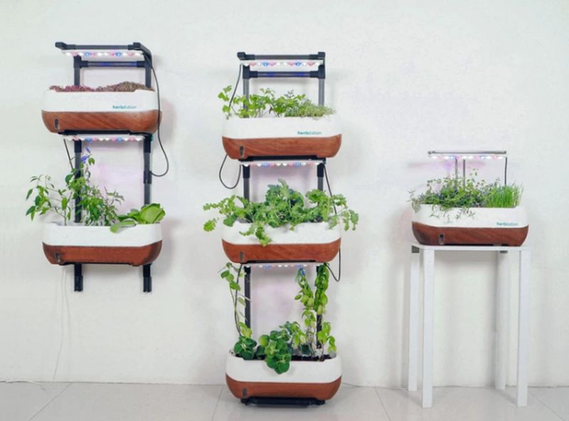 Altifarm Launches Herbstation Self-Watering Indoor Garden at Kickstarter 