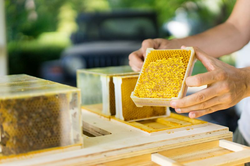 B-box Beehive by Beeing is Designed for Home Beekeeping 