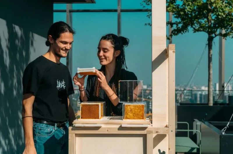 B-box Beehive by Beeing is Designed for Home Beekeeping