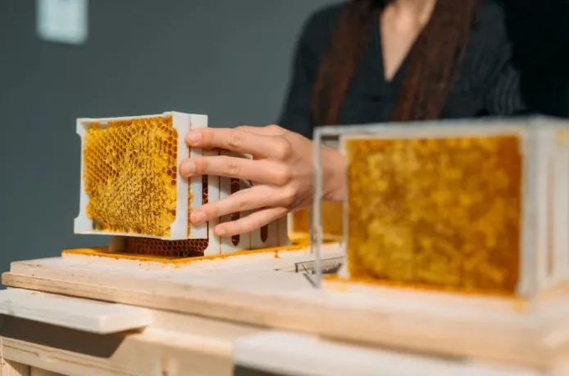 B-box Beehive by Beeing is Designed for Home Beekeeping 