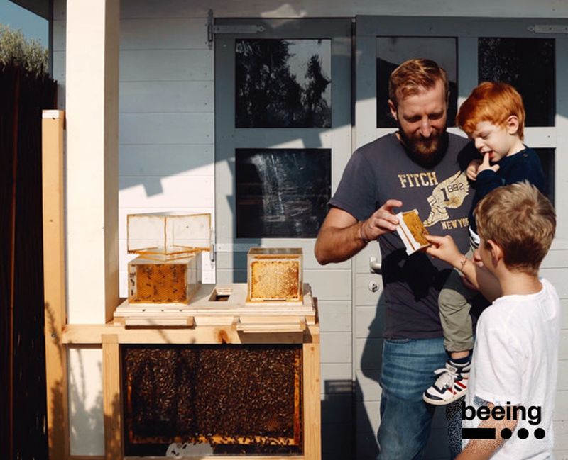 B-box Beehive by Beeing is Designed for Home Beekeeping