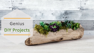 best-easy-diy-projects-and-crafts