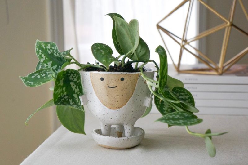 Handcrafted Ceramic Planter by Abby Ozaltug