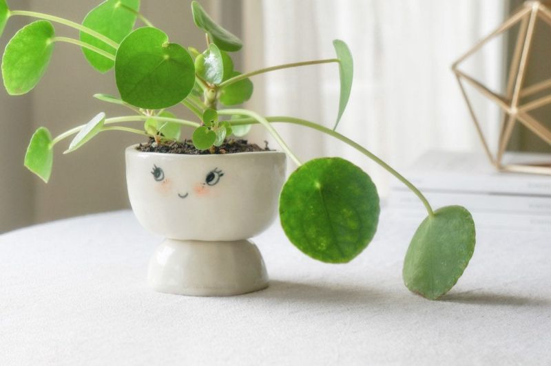 Handcrafted Ceramic Planter by Abby Ozaltug