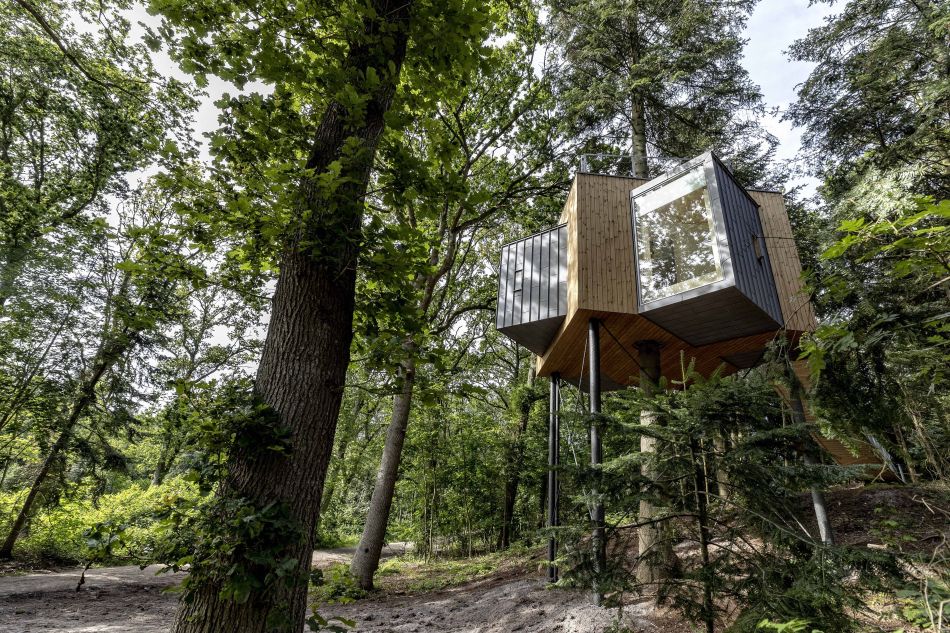 Lovtag Treetop Cabins Near Mariager Fjord In Denmark