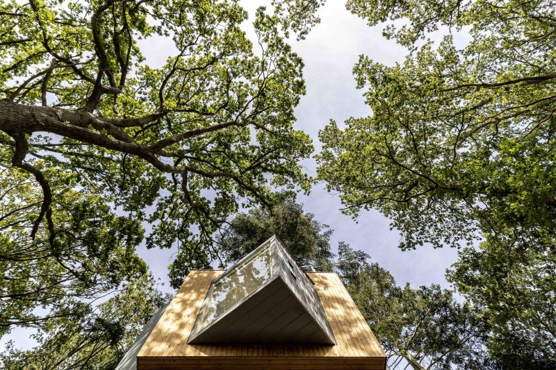 Løvtag Treetop Cabins Near Mariager Fjord in Denmark