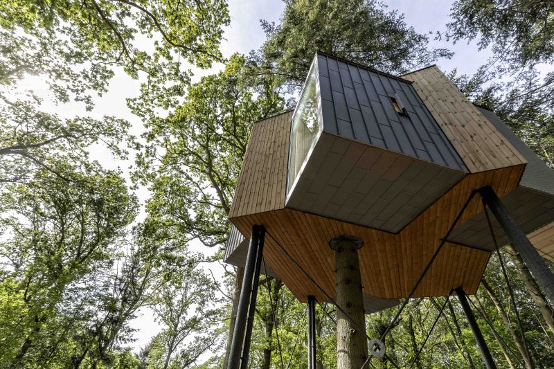 Løvtag Treetop Cabins Near Mariager Fjord in Denmark