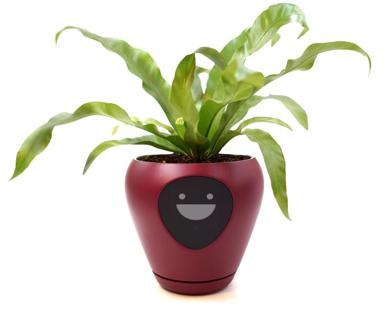 Lua Smart Planter Tells When It Needs Water or Sunlight with Animations 