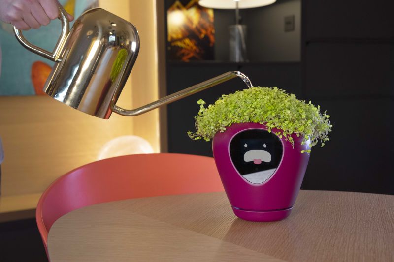 Lua Smart Planter Tells When It Needs Water or Sunlight with Animations 