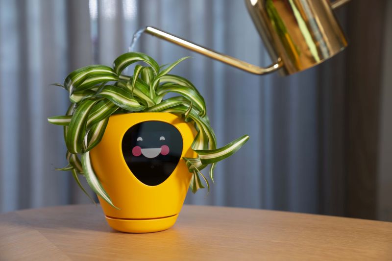 Lua Smart Planter Tells When It Needs Water or Sunlight with Animations 