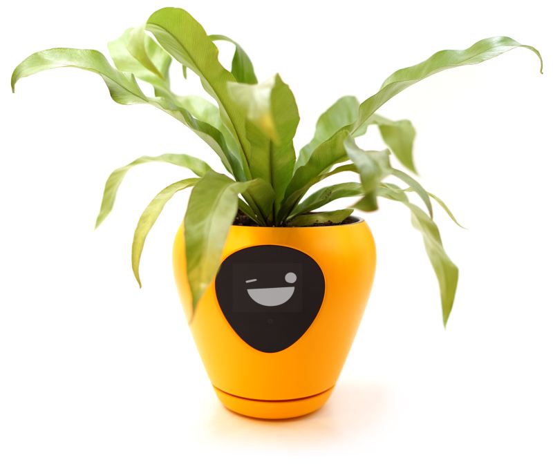 Lua Smart Planter Tells When It Needs Water or Sunlight with Animations 