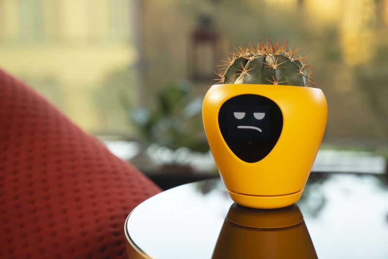 Lua Smart Planter Tells When It Needs Water or Sunlight with Animations 