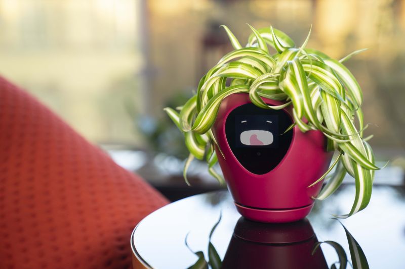 Lua Smart Planter Tells When It Needs Water or Sunlight with Animations 