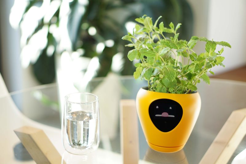 Lua Smart Planter Tells When It Needs Water or Sunlight with Animations 