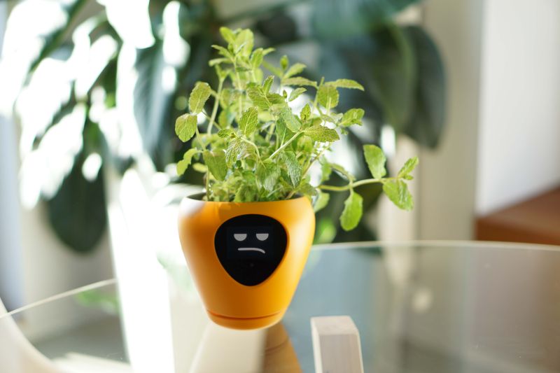 Lua Smart Planter Tells When It Needs Water or Sunlight with Animations