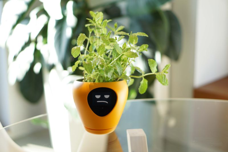 Lua Smart Planter Indicates its Requirements Animated Emotions