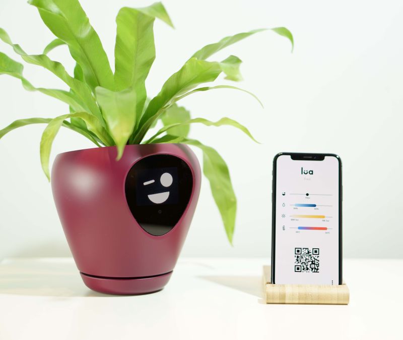 Lua Smart Planter Tells When It Needs Water or Sunlight with Animations 