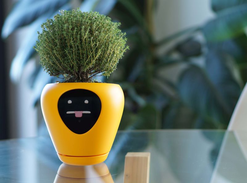 Lua Smart Planter Tells When It Needs Water or Sunlight with Animations