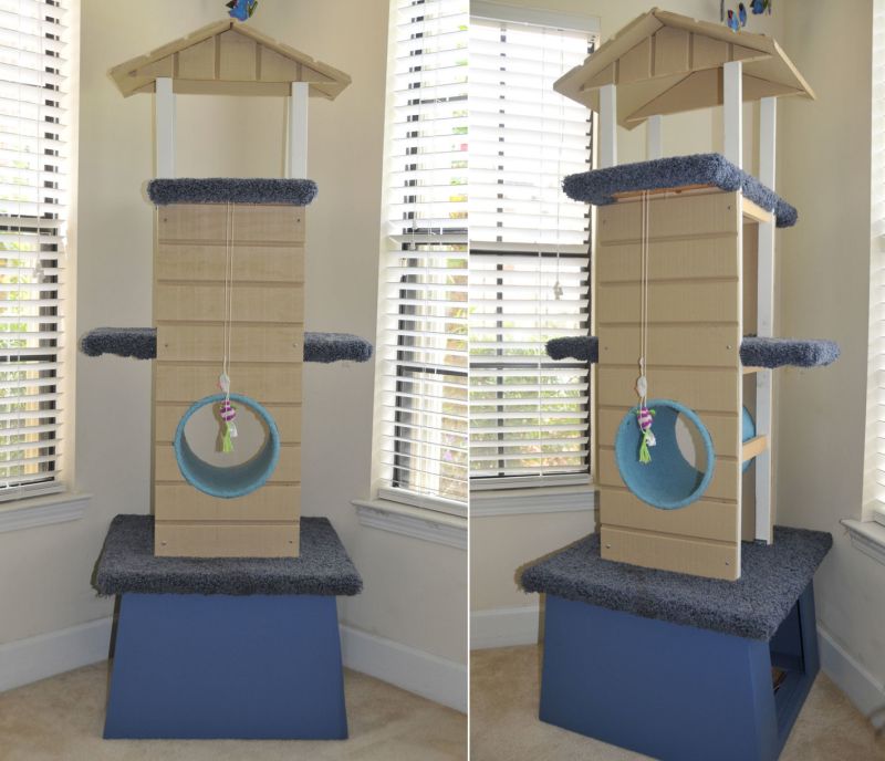 SQUARE Paws Makes Cat Thrones, Watchtowers, and More