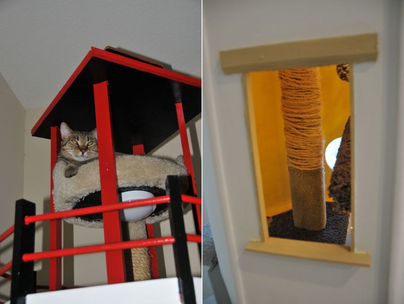 SQUARE Paws Makes Cat Thrones, Watchtowers, and More