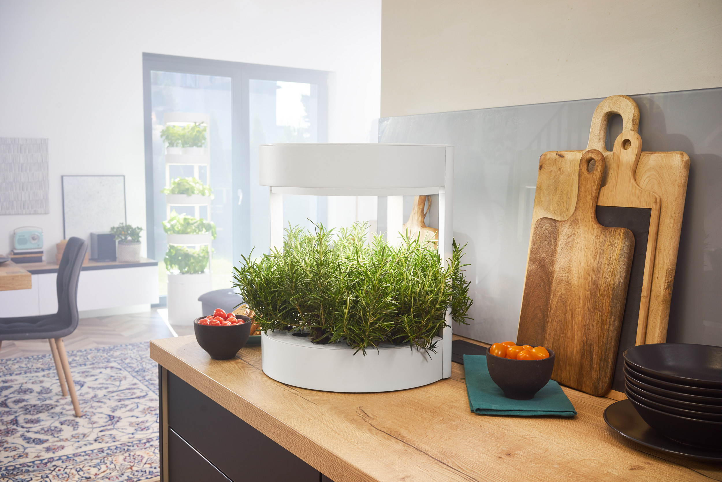 Verdeat’s Automated Hydroponic Indoor Garden Grows Veggies Faster