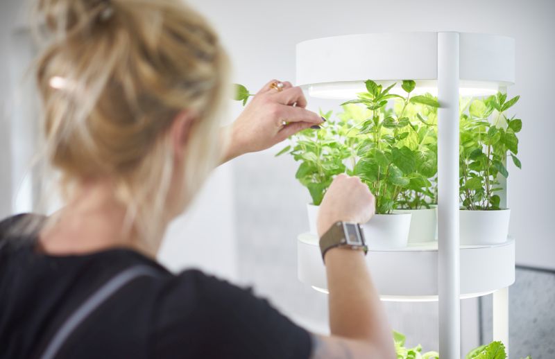 Verdeat’s Automated Hydroponic Indoor Garden Grows Veggies Faster