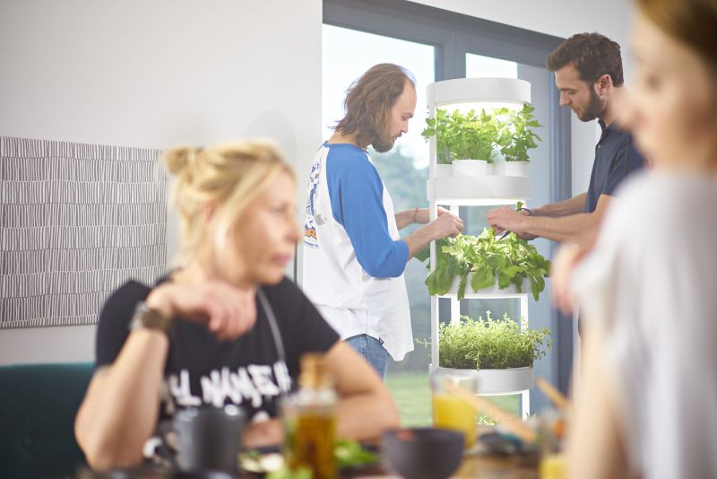 Verdeat’s Automated Hydroponic Indoor Garden Grows Veggies Faster