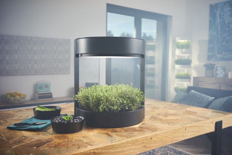 Verdeat’s Automated Hydroponic Indoor Garden Grows Veggies Faster