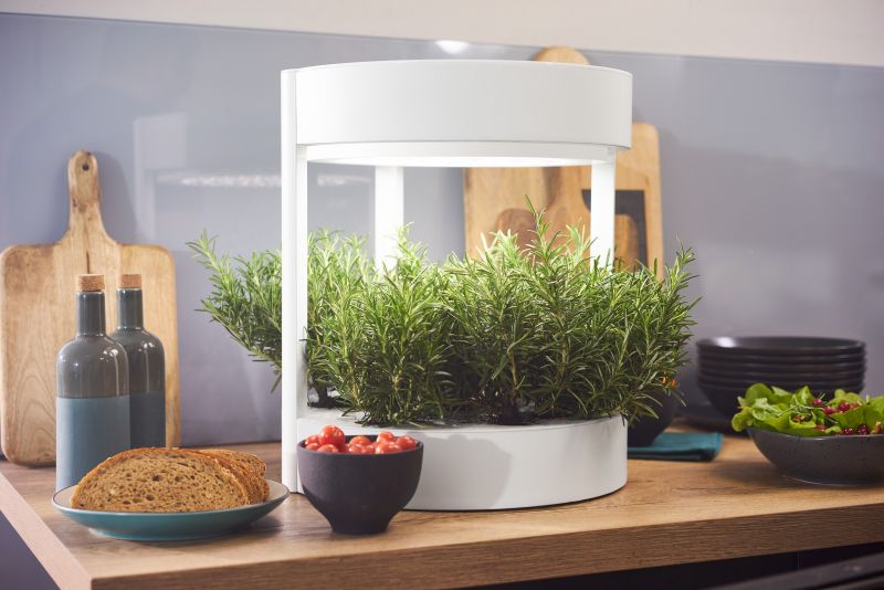 Verdeat’s Automated Hydroponic Indoor Garden Grows Veggies Faster