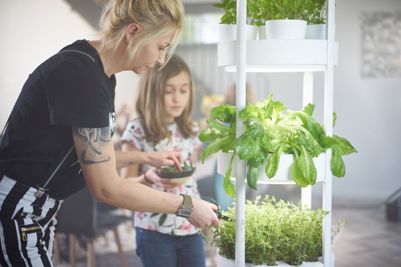 Verdeat’s Automated Hydroponic Indoor Garden Grows Veggies Faster