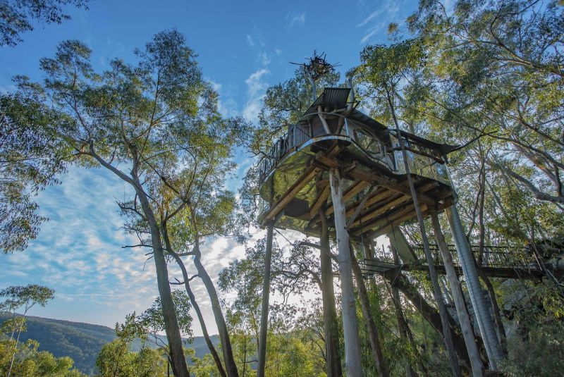 You can Rent This Amazing Treehouse in Blue Mountains, Australia